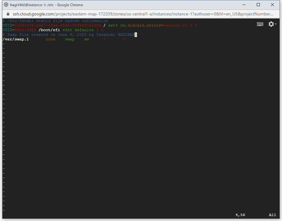 コンソール画面 VIM