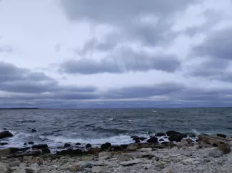 タリンの港
