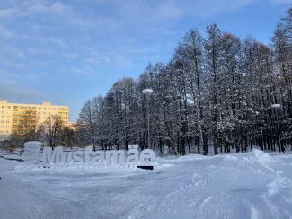 Mustamäe parditiigi park