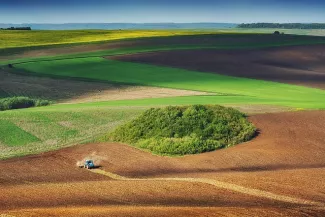 Поля_під_Касовою_горою