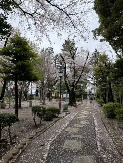 道灌山公園