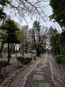 道灌山公園　縮小