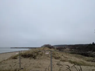 砂浜の無効に森が見える