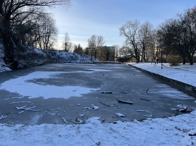 2024.11.24の池の様子