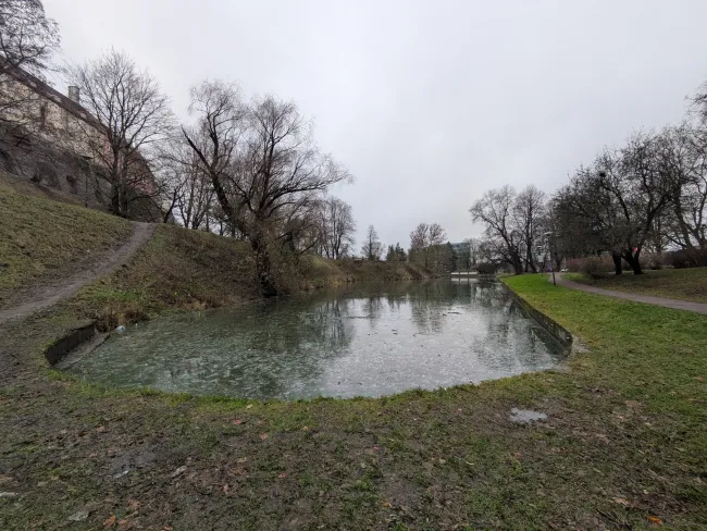 Toom parkの凍った池