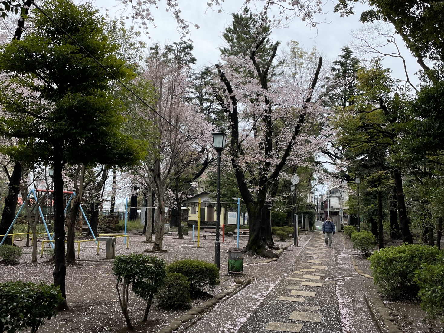 道灌山公園